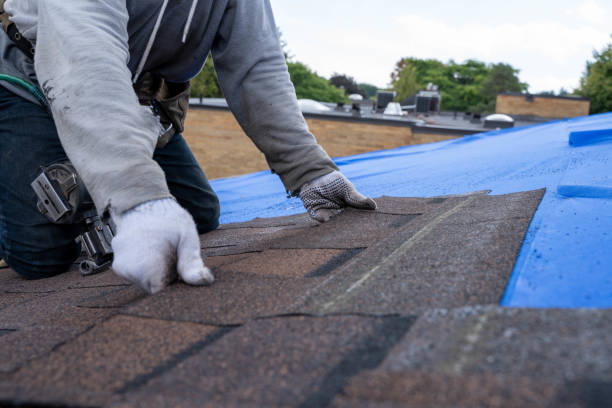 Best Residential Roofing Contractor  in Delphi, IN