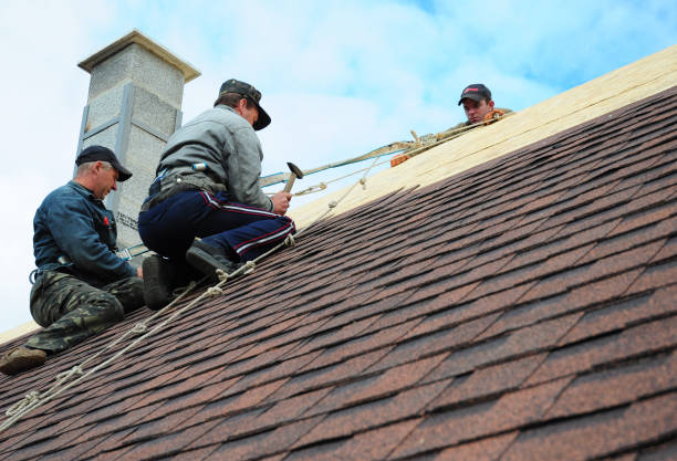 Best Roof Leak Repair  in Delphi, IN